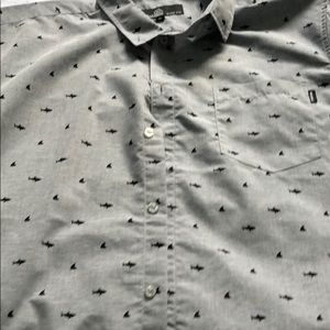 Shark shirt xl